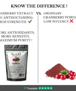 Organic Cranberry Extract Powder – High in Anthocyanins & Lab-Tested Quality