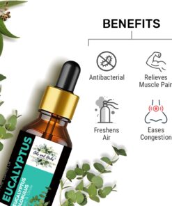 Natural Eucalyptus Essential Oil 100% Pure & Therapeutic Grade
