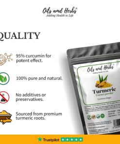 High Strength Turmeric Extract powder 95% curcuminoids