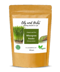 Clean Organic Wheatgrass Powder for Juice