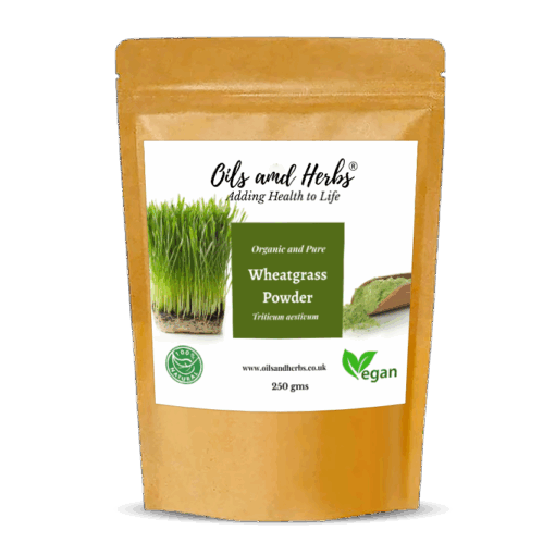 Clean Organic Wheatgrass Powder for Juice