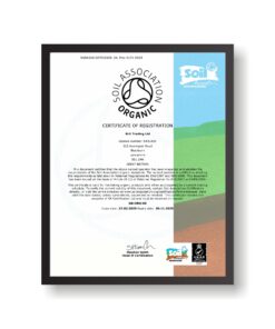 Organic Bilberry Extract Powder Anthocyanin>25%