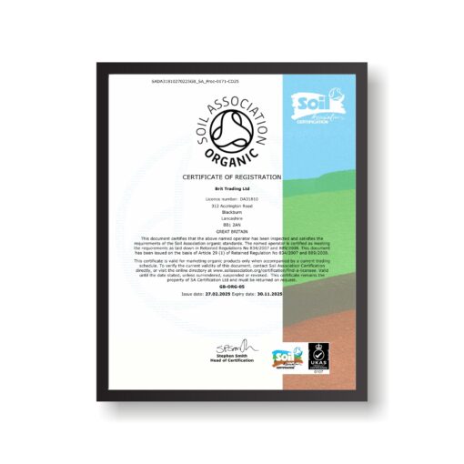 Organic Bilberry Extract Powder Anthocyanin>25%